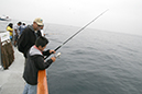 %_tempFileNameFishingONE%20065%