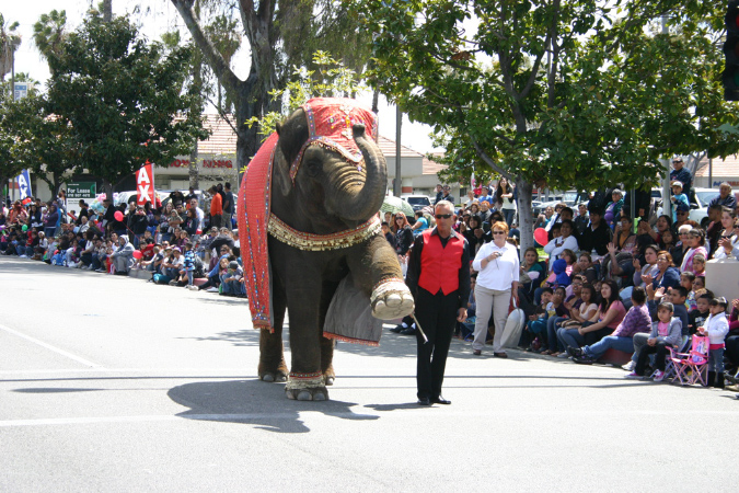 Hawaiian%20Gardens%20Anniversary%20parade%20and%20Carnival04142012_059