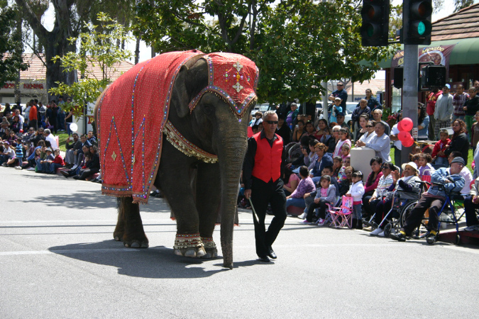 Hawaiian%20Gardens%20Anniversary%20parade%20and%20Carnival04142012_061