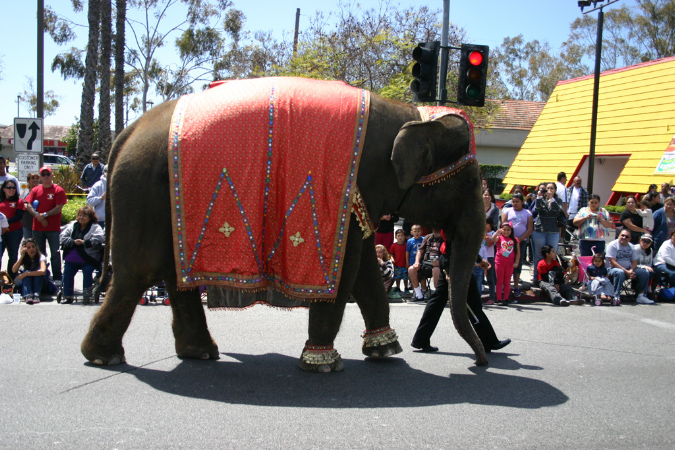 Hawaiian%20Gardens%20Anniversary%20parade%20and%20Carnival04142012_062