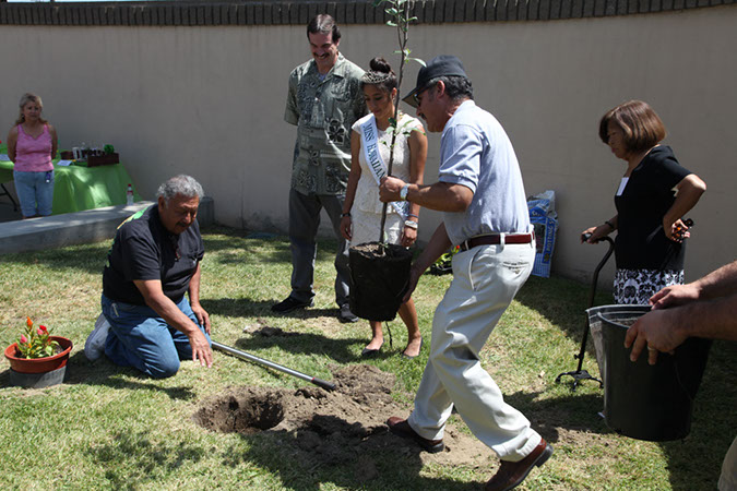 19-Hawaiian-Gardens-Arbor-Day