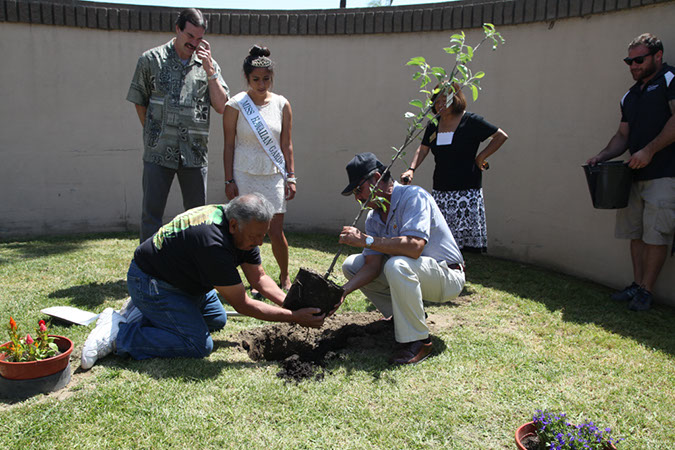 20-Hawaiian-Gardens-Arbor-Day