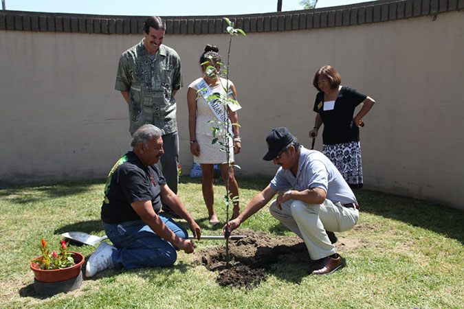 22-Hawaiian-Gardens-Arbor-Day