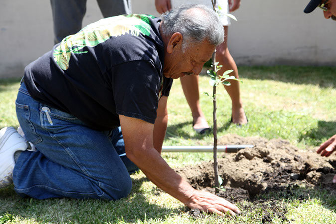 23-Hawaiian-Gardens-Arbor-Day