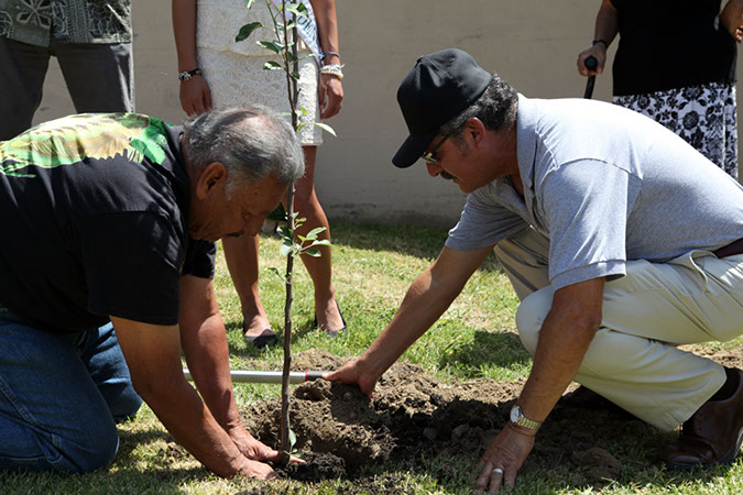 24-Hawaiian-Gardens-Arbor-Day