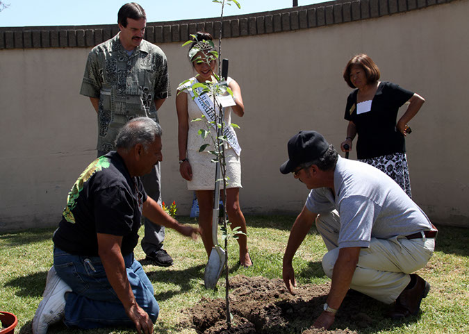 25-Hawaiian-Gardens-Arbor-Day