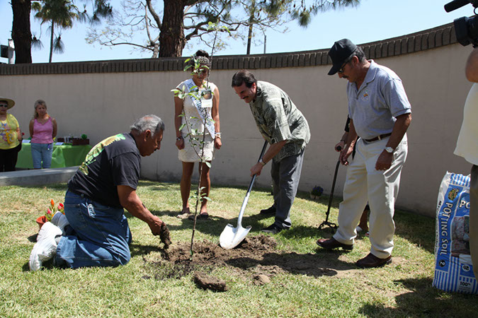 31-Hawaiian-Gardens-Arbor-Day