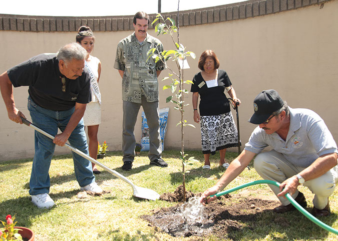 34-Hawaiian-Gardens-Arbor-Day