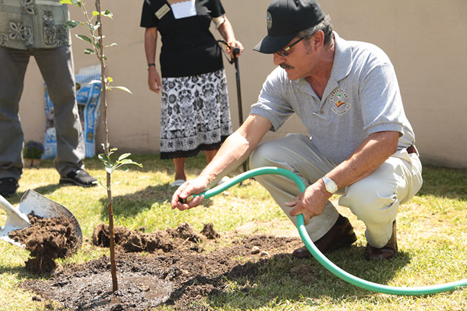 35-Hawaiian-Gardens-Arbor-Day