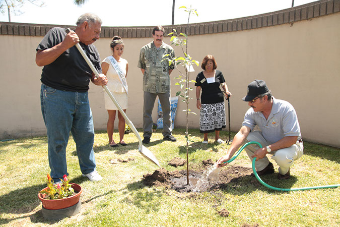 36-Hawaiian-Gardens-Arbor-Day