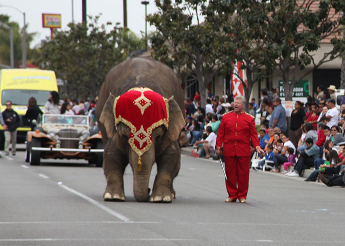 301Hawaiian%20Gardens%2049th%20Anniversary%20Parade