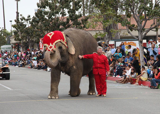 302Hawaiian%20Gardens%2049th%20Anniversary%20Parade