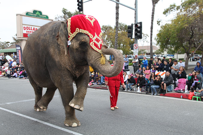 305Hawaiian%20Gardens%2049th%20Anniversary%20Parade