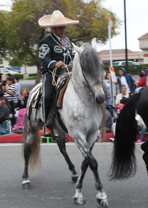 316Hawaiian%20Gardens%2049th%20Anniversary%20Parade