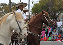 385Hawaiian%20Gardens%2049th%20Anniversary%20Parade