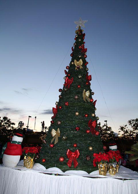 001-Hawaiian-Gardens-City-Christmas-2013