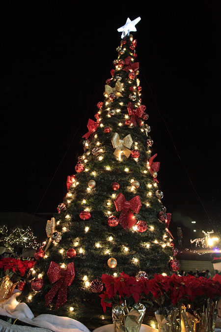 099-Hawaiian-Gardens-City-Christmas-2013