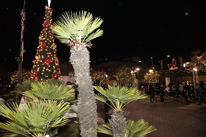 108-Hawaiian-Gardens-City-Christmas-2013