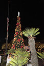 107-Hawaiian-Gardens-City-Christmas-2013