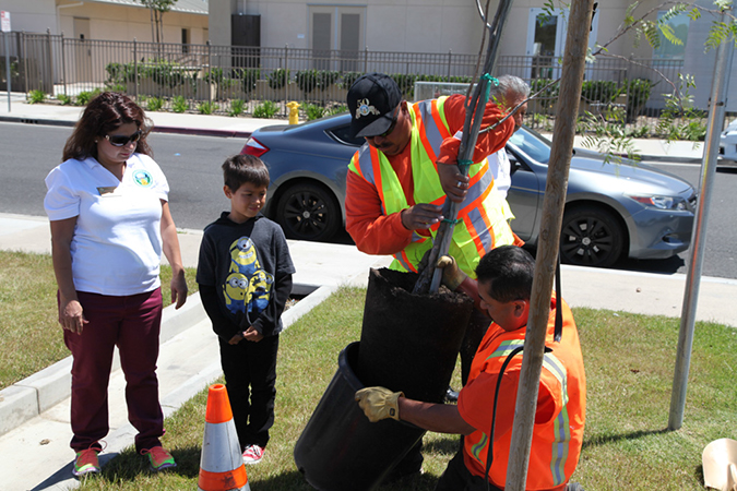 %_tempFileName29-Hawaiian-Gardens-arbor-day-2013%