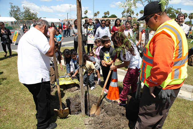 %_tempFileName31-Hawaiian-Gardens-arbor-day-2013%