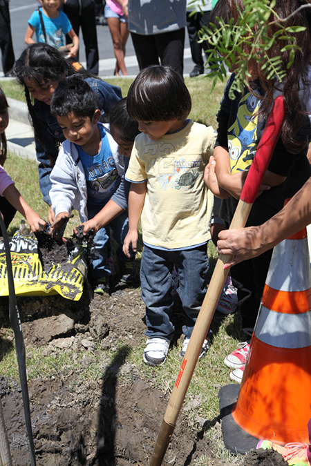 %_tempFileName32-Hawaiian-Gardens-arbor-day-2013%