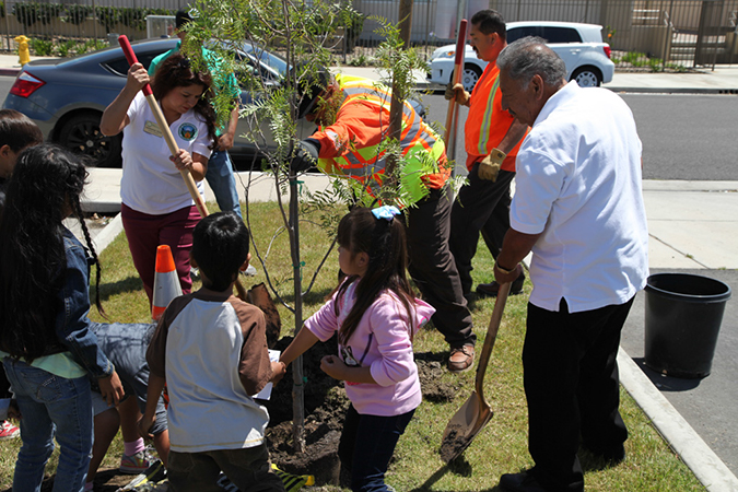 %_tempFileName37-Hawaiian-Gardens-arbor-day-2013%