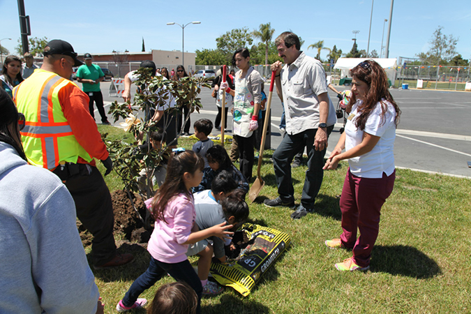 %_tempFileName38-Hawaiian-Gardens-arbor-day-2013%