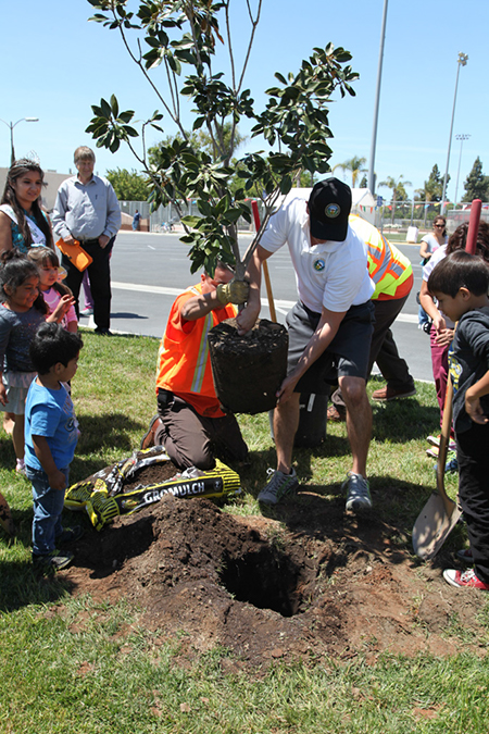 %_tempFileName41-Hawaiian-Gardens-arbor-day-2013%