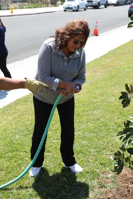 %_tempFileName42-Hawaiian-Gardens-arbor-day-2013%