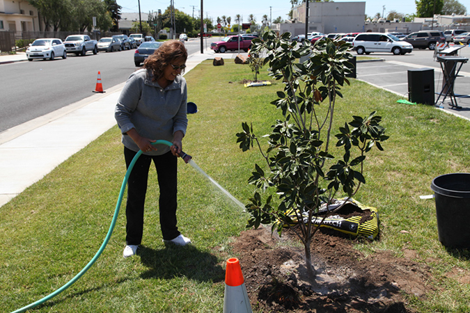 %_tempFileName44-Hawaiian-Gardens-arbor-day-2013%