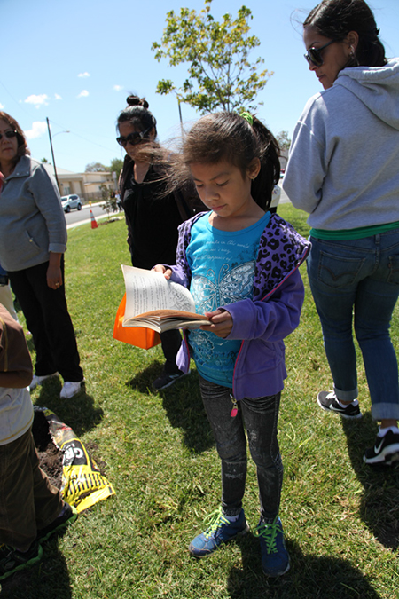 %_tempFileName50-Hawaiian-Gardens-arbor-day-2013%