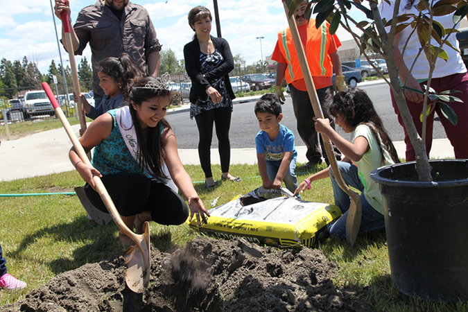 %_tempFileName53-Hawaiian-Gardens-arbor-day-2013%