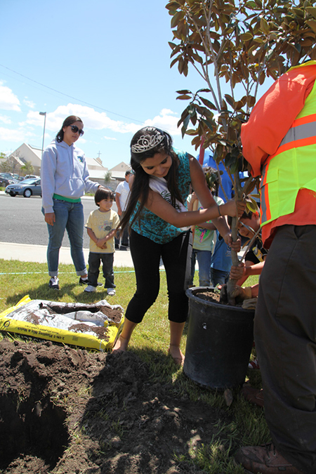 %_tempFileName57-Hawaiian-Gardens-arbor-day-2013%