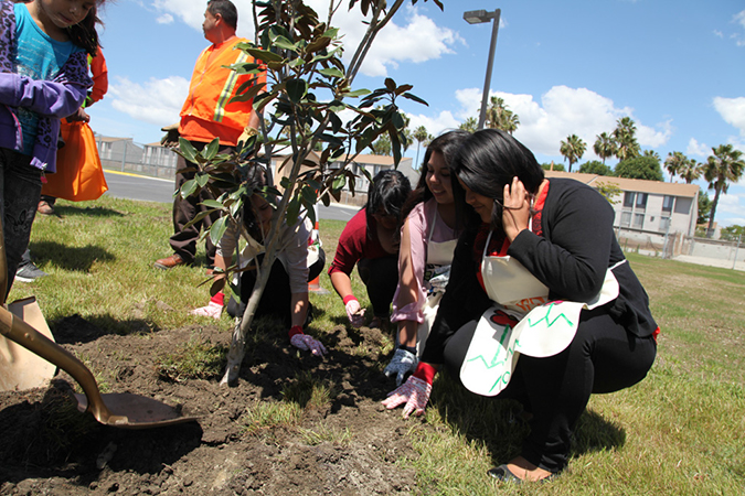 %_tempFileName58-Hawaiian-Gardens-arbor-day-2013%