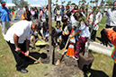 %_tempFileName33-Hawaiian-Gardens-arbor-day-2013%