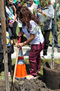 %_tempFileName34-Hawaiian-Gardens-arbor-day-2013%