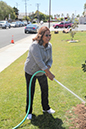 %_tempFileName43-Hawaiian-Gardens-arbor-day-2013%