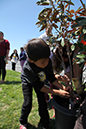 %_tempFileName48-Hawaiian-Gardens-arbor-day-2013%