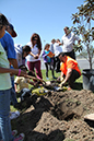 %_tempFileName49-Hawaiian-Gardens-arbor-day-2013%