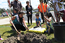 %_tempFileName53-Hawaiian-Gardens-arbor-day-2013%