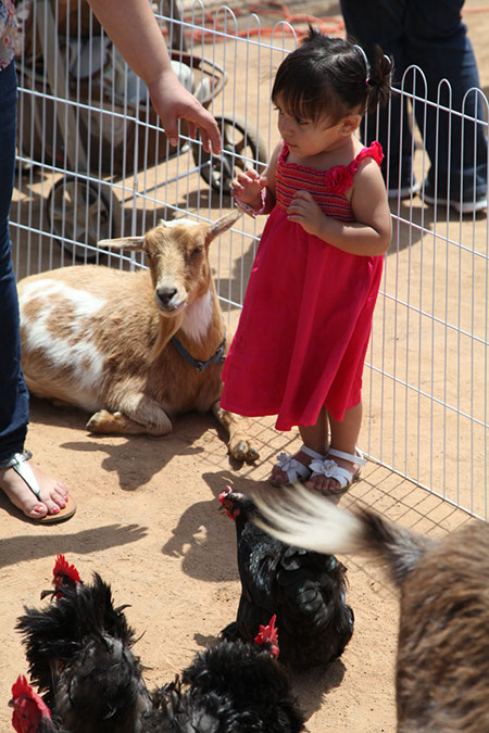 023hawaiian-gardens-easter-2014