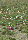 085hawaiian-gardens-easter-2014