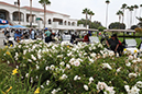 %_tempFileName009-Hawaiian-Gardens-golf-tournament-2014%